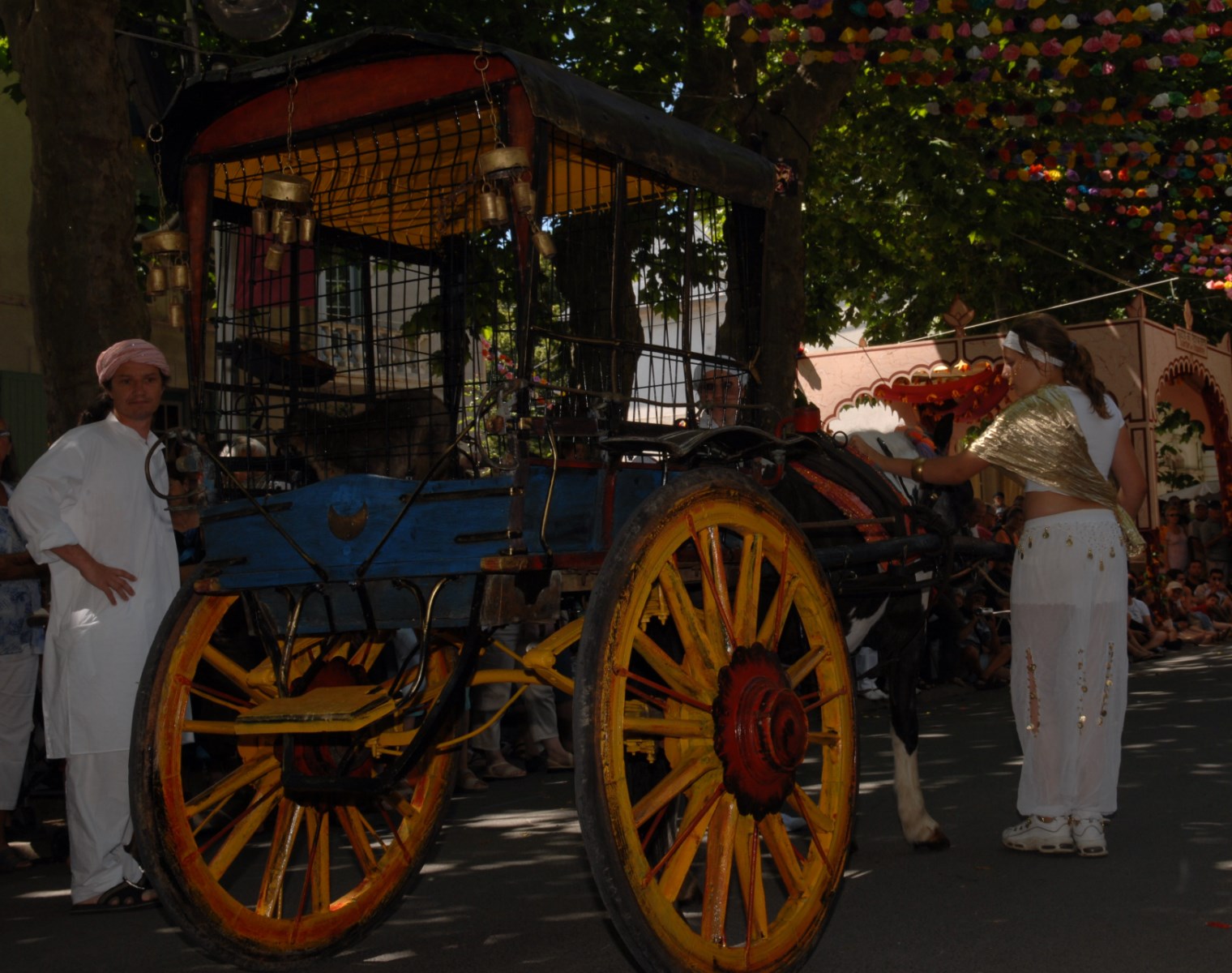 Voiture cage à louer en Aquitaine